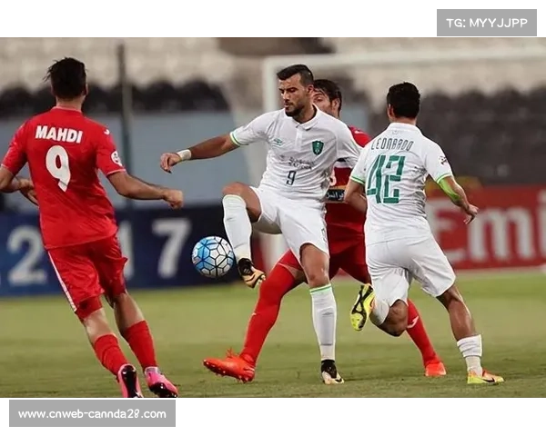 老将菲尔米诺效力萨德,年龄与体能成征战亚冠挑战